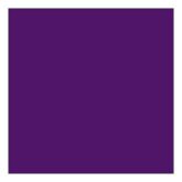 TRIMCAPPURPLE2287-.750X150(GEMINI)